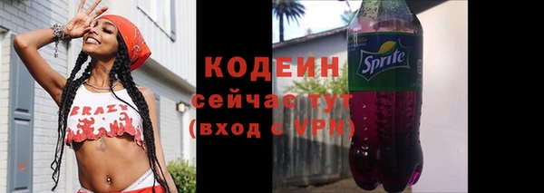 соль ск Волосово